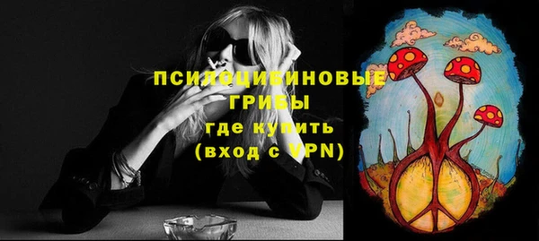 не бодяженный Аркадак