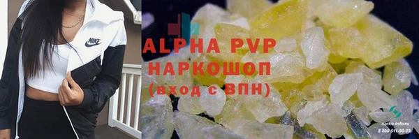 ешки Алексин