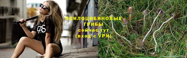 прущий лед Армянск