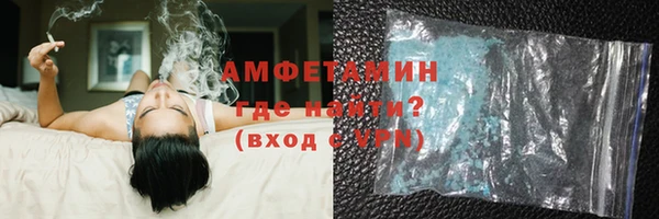 прущие грибы Балабаново
