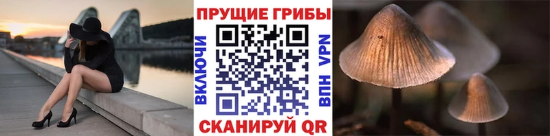 mega вход  дарнет шоп  Учалы  Псилоцибиновые грибы Psilocybine cubensis 