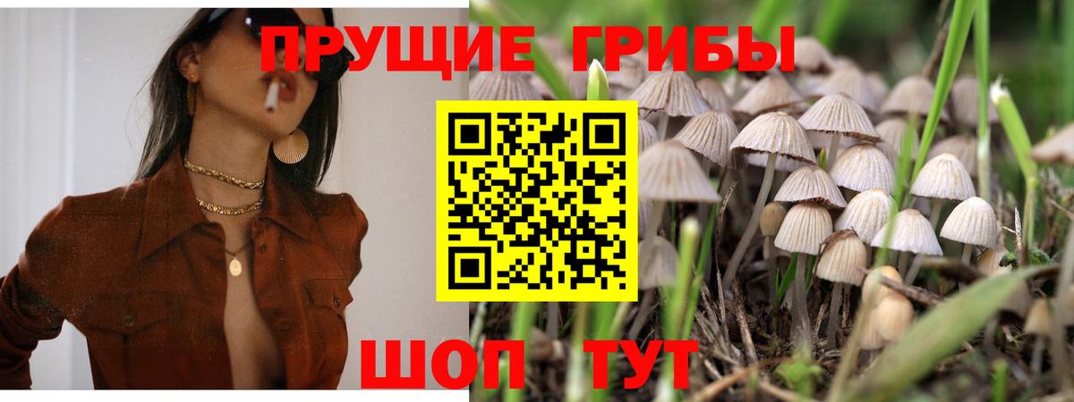 Галлюциногенные грибы Magic Shrooms Учалы
